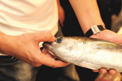 食材挑選、西班牙廚師、香料